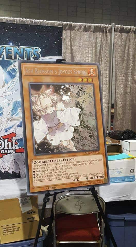 [TCG] YCS Pittsburgh Giant Cards